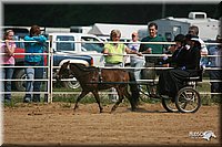 4H-Dist-06-_0688.jpg