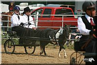 4H-Dist-06-_0713.jpg
