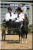 4H-Dist-06-_0714.jpg