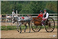 4H-Dist-06-_0719.jpg