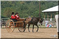 4H-Dist-06-_0734.jpg