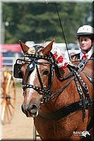 4H-Dist-06-_0749.jpg