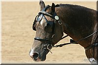 4H-Dist-06-_0752.jpg