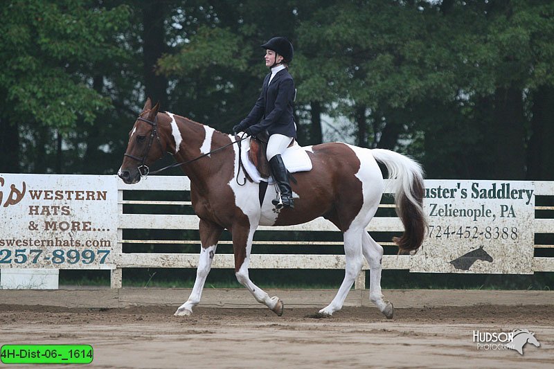 4H-Dist-06-_1614.jpg