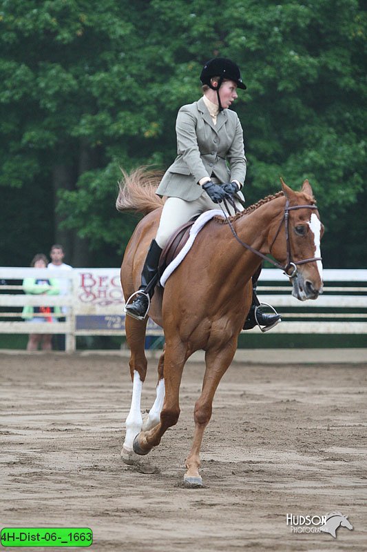 4H-Dist-06-_1663.jpg