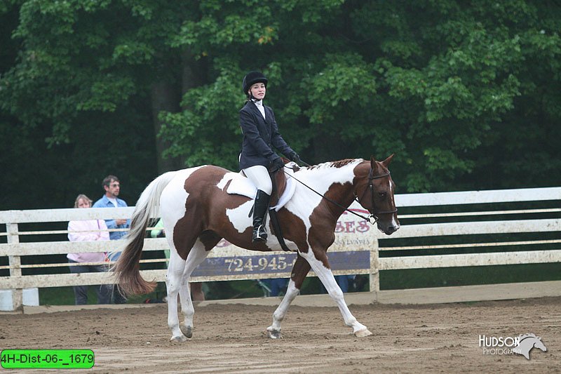 4H-Dist-06-_1679.jpg