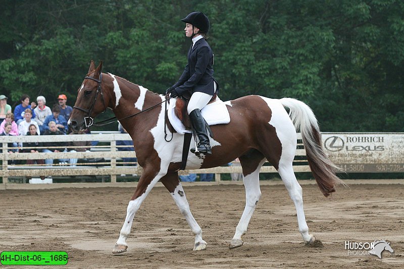 4H-Dist-06-_1685.jpg