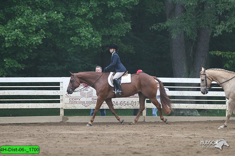 4H-Dist-06-_1700.jpg