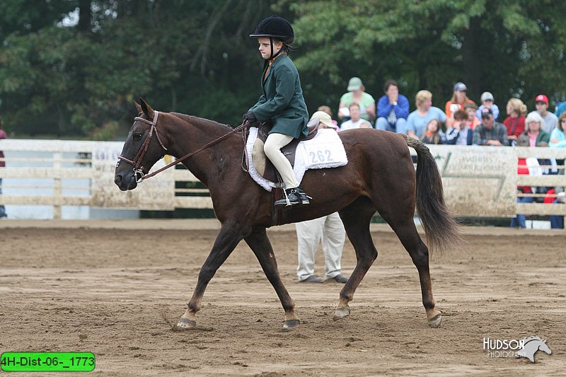 4H-Dist-06-_1773.jpg