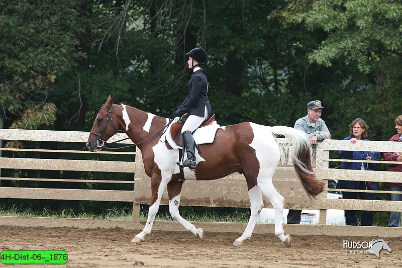 4H-Dist-06-_1876.jpg