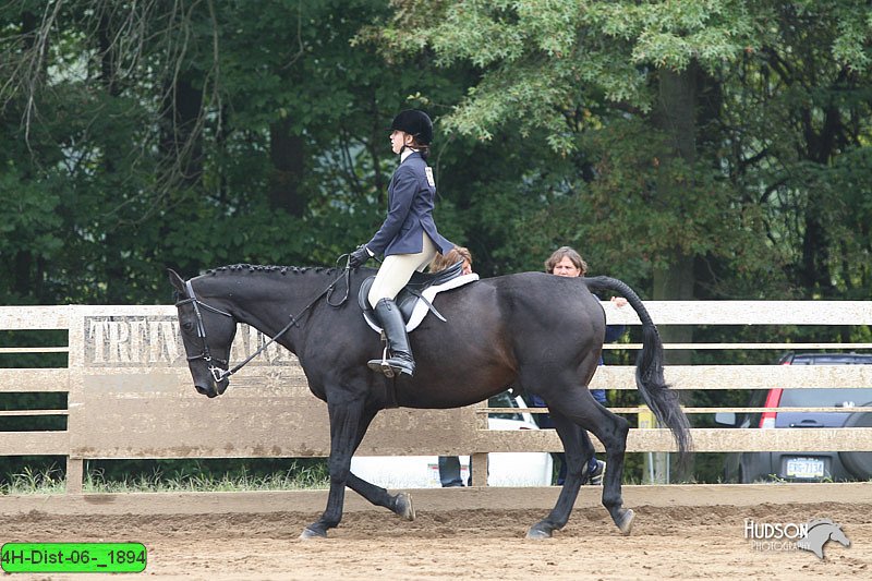 4H-Dist-06-_1894.jpg