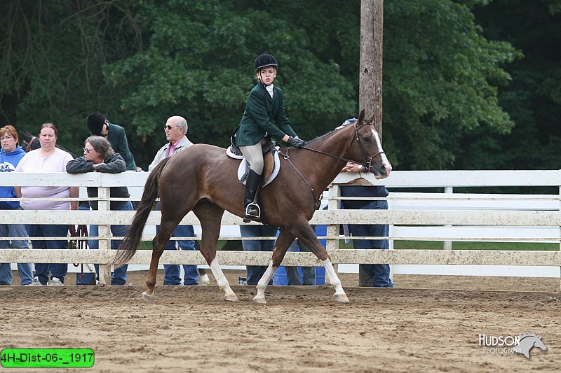 4H-Dist-06-_1917.jpg