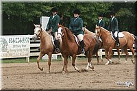 4H-Dist-06-_1529.jpg