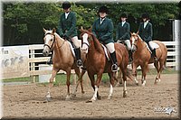 4H-Dist-06-_1530.jpg