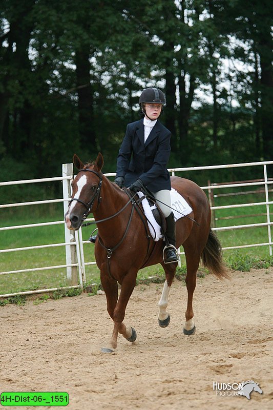 4H-Dist-06-_1551.jpg