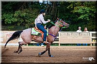 4H-Dist-06-_0038.jpg