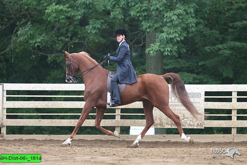 4H-Dist-06-_1814.jpg