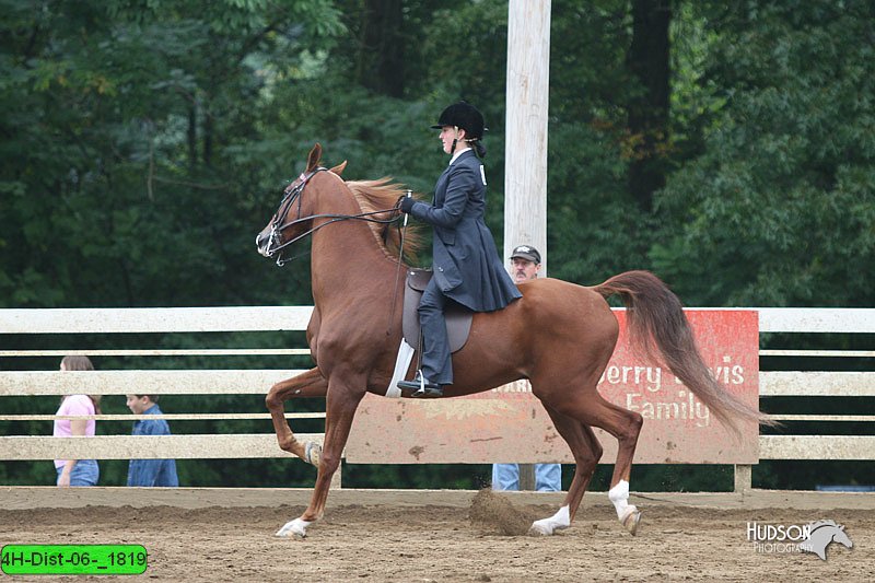 4H-Dist-06-_1819.jpg