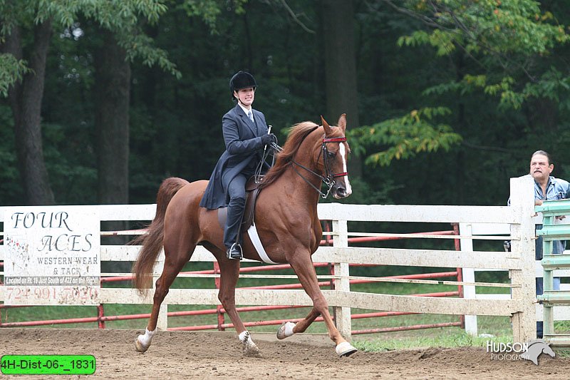 4H-Dist-06-_1831.jpg