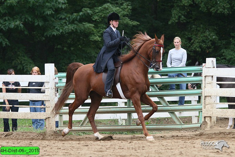 4H-Dist-06-_2015.jpg