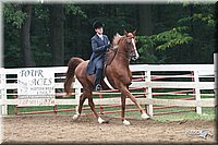 4H-Dist-06-_1841.jpg