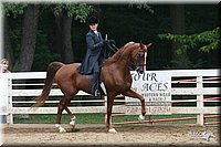 4H-Dist-06-_2014.jpg