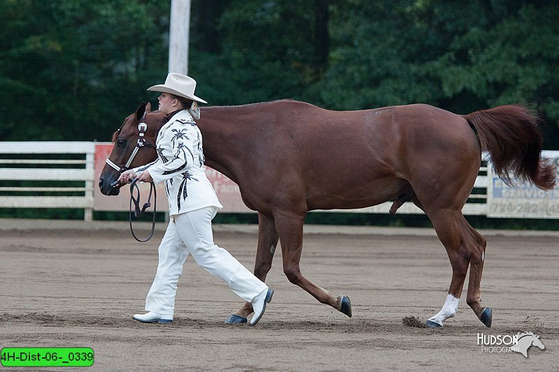 4H-Dist-06-_0339.jpg