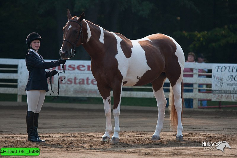 4H-Dist-06-_0498.jpg