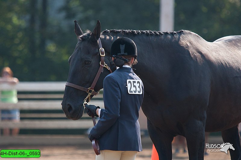 4H-Dist-06-_0593.jpg