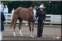 4H-Dist-06-_0362.jpg
