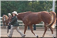 4H-Dist-06-_0401.jpg