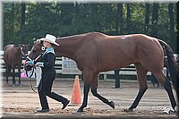 4H-Dist-06-_0435.jpg