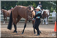 4H-Dist-06-_0441.jpg