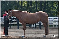 4H-Dist-06-_0449.jpg