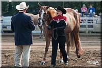 4H-Dist-06-_0457.jpg