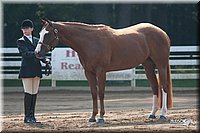 4H-Dist-06-_0533.jpg