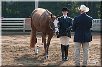 4H-Dist-06-_0541.jpg