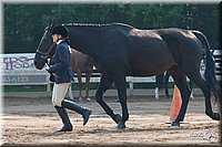4H-Dist-06-_0584.jpg