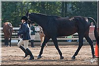 4H-Dist-06-_0586.jpg