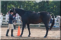 4H-Dist-06-_0587.jpg
