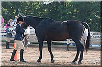 4H-Dist-06-_0588.jpg