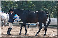 4H-Dist-06-_0589.jpg