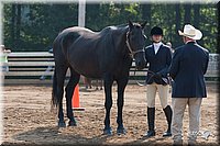 4H-Dist-06-_0590.jpg