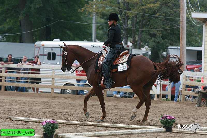 4H-Dist-06-_0784.jpg