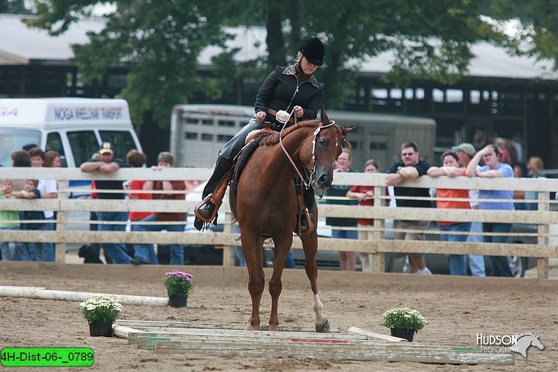 4H-Dist-06-_0789.jpg