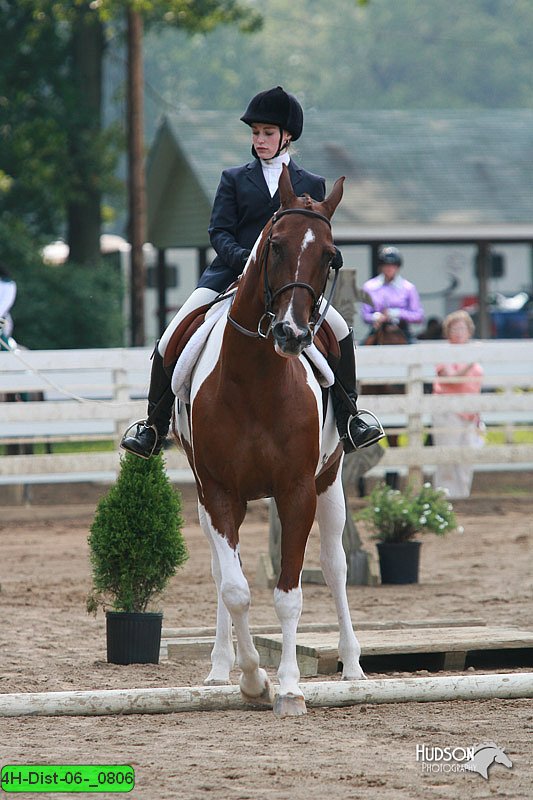 4H-Dist-06-_0806.jpg