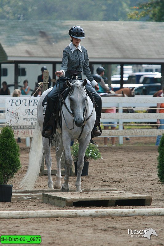 4H-Dist-06-_0877.jpg