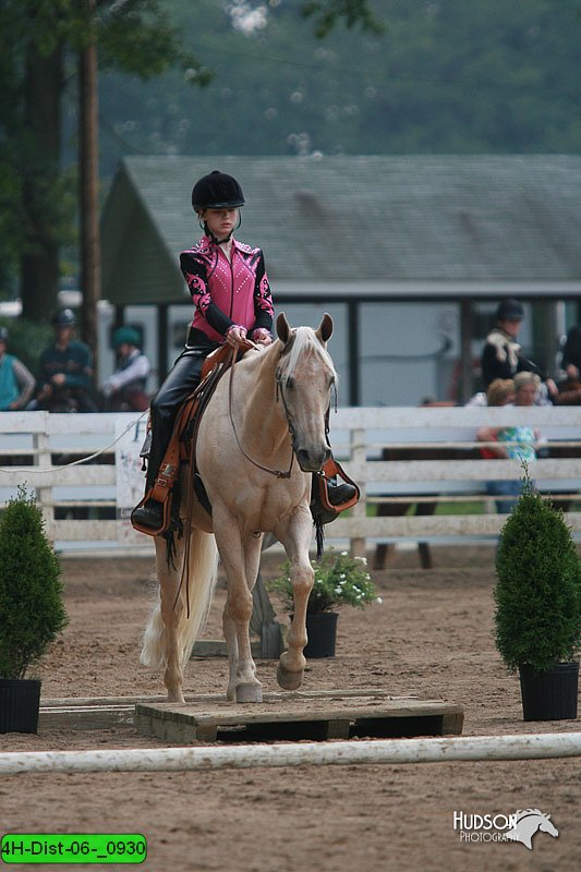 4H-Dist-06-_0930.jpg