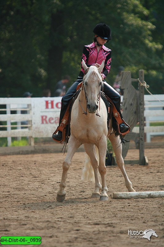 4H-Dist-06-_0939.jpg