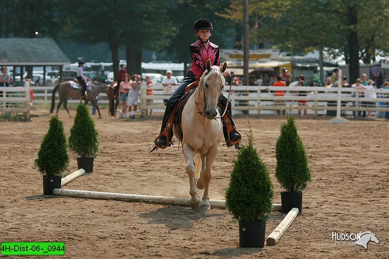 4H-Dist-06-_0944.jpg